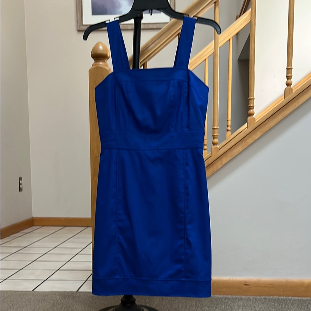 Banana Republic Blue Dress Size 2P